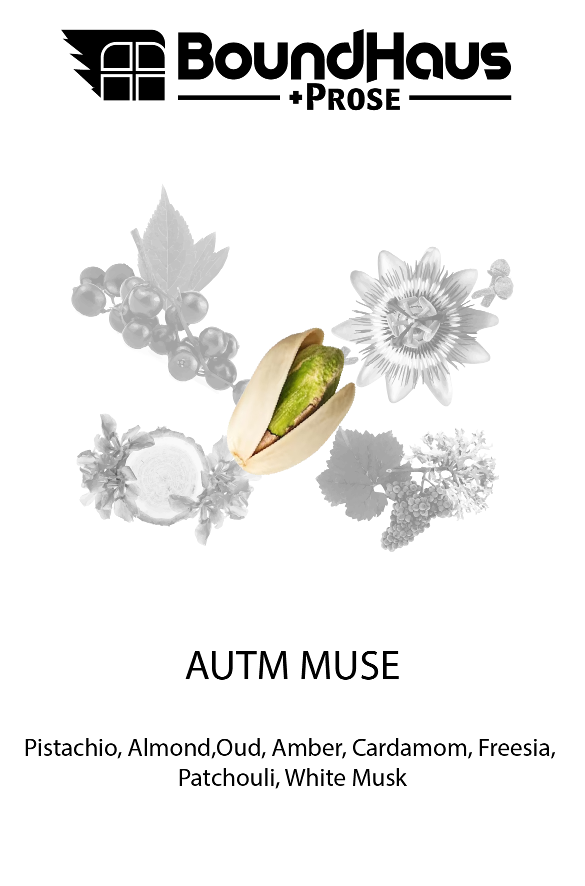 AUTM MUSE