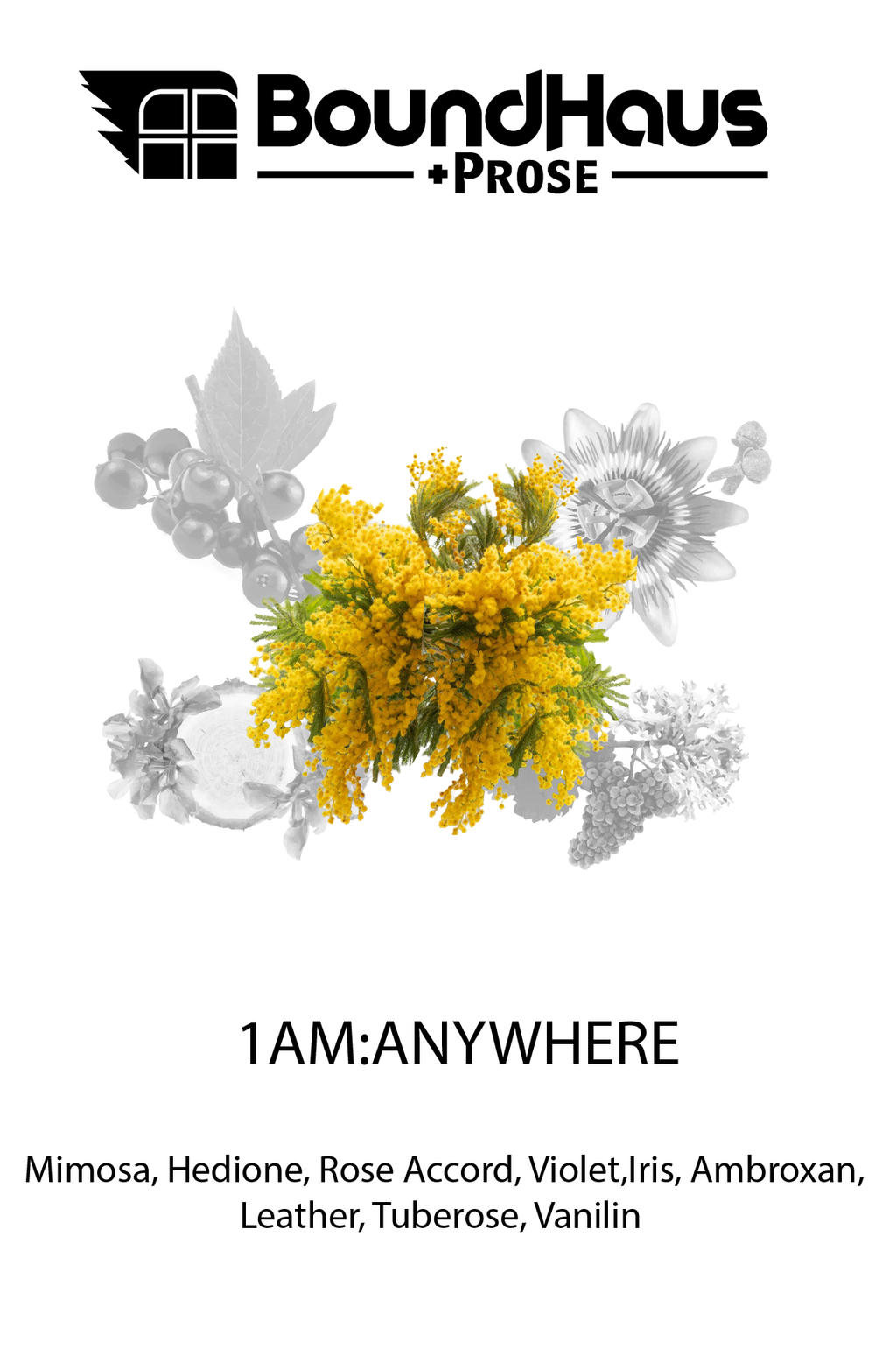 1AM:ANYWHERE
