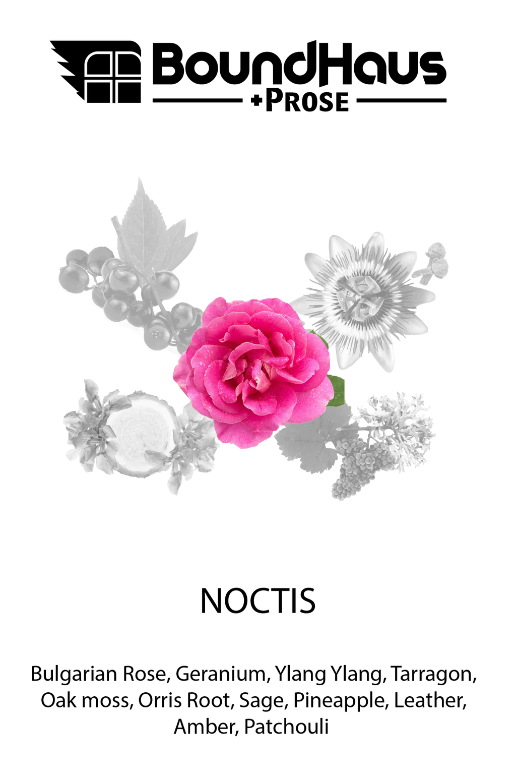 NOCTIS