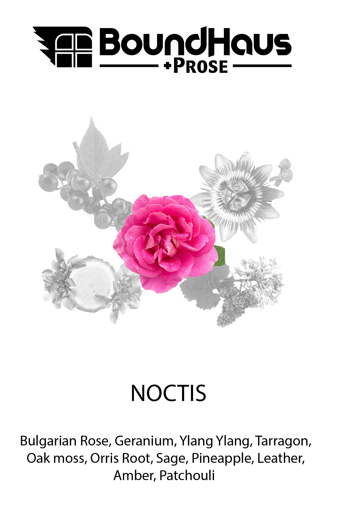 NOCTIS